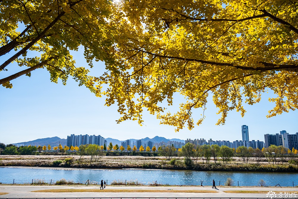 external_image external_image