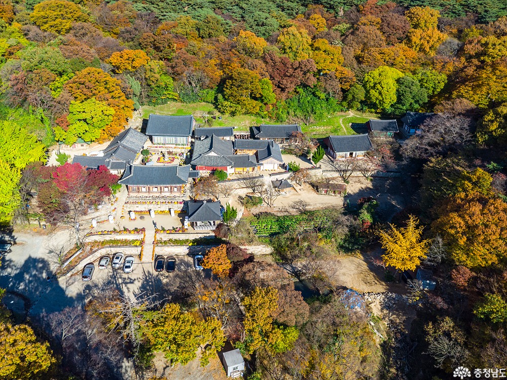 만추의 서산, 국화 향기 머금은 개심사에 취하다