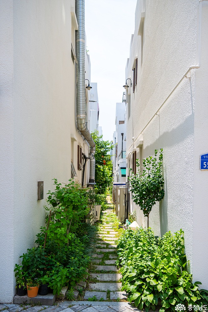 external_image