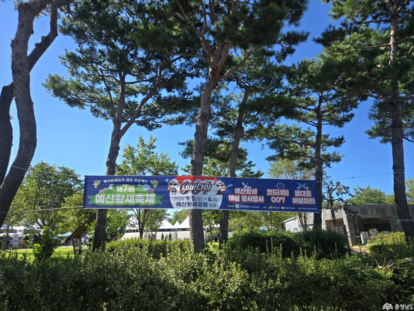  황새들의 생존 프로젝트! 제7회 예산황새축제 다녀왔어요.