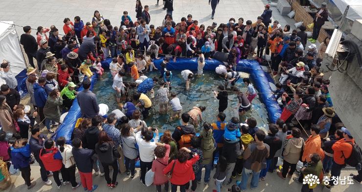 무창포 주꾸미·도다리 축제 18일 개막 사진