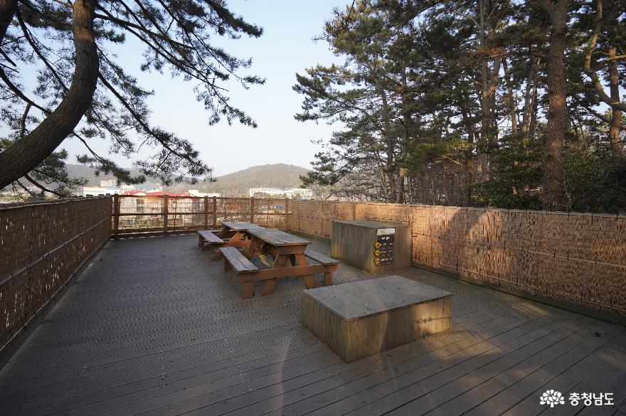 천리포 수목원 평상