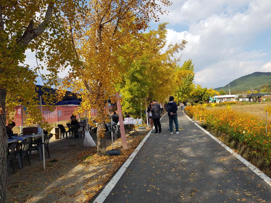 사진