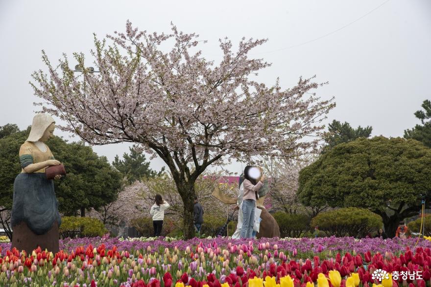 사진