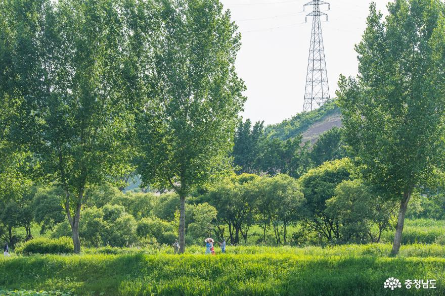사진