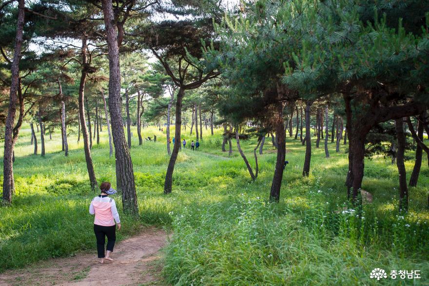 사진