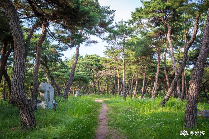 사진