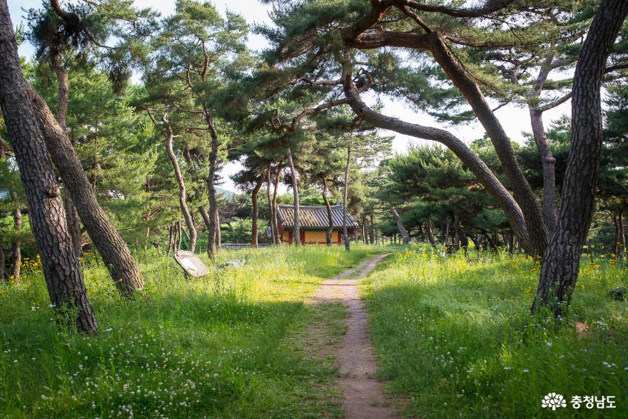 사진