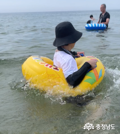 사진