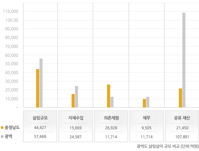 충남의 살림규모는 44,427억원, 자체수입은 15,669억원, 의존재원은 26,928억원, 채무 9,505억원, 공유재산은 21,450억원이다. 광역전체의 살림규모는 57,668억원, 자체수입 24,587억원, 의존재원 11,714억원, 채무 11,714억원, 공유재산은 107,891억원이다.