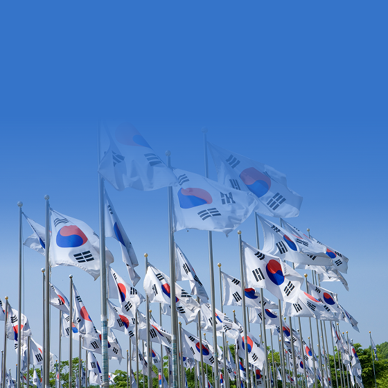 메인 가능성 썸네일 이미지1