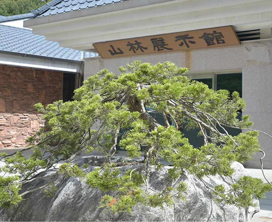 안면도 자연휴양림 산림전시관 사진