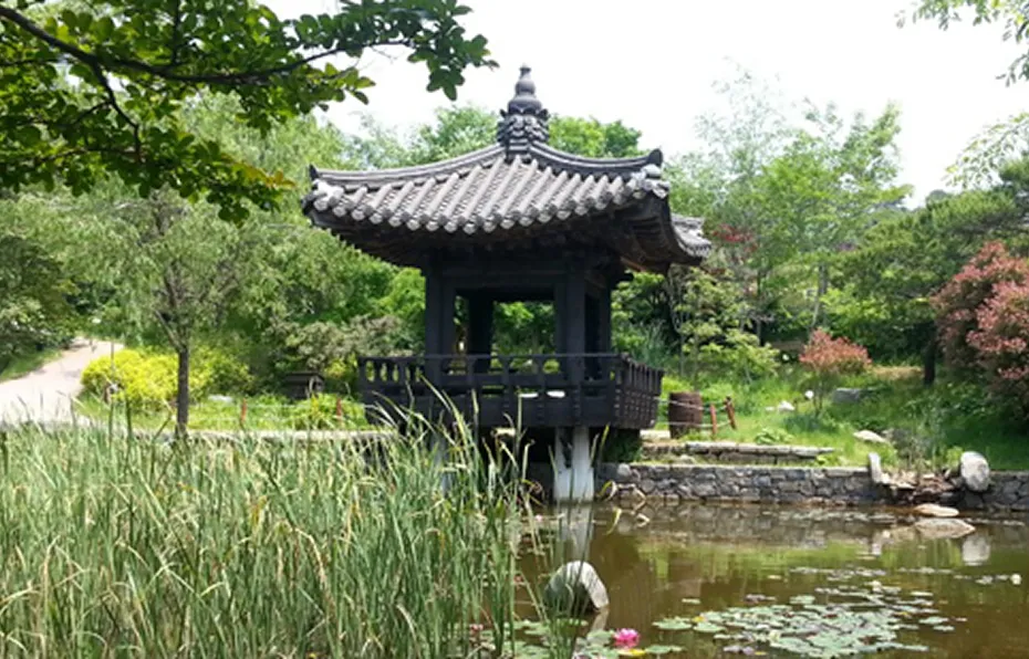 안면도 수목원 사진