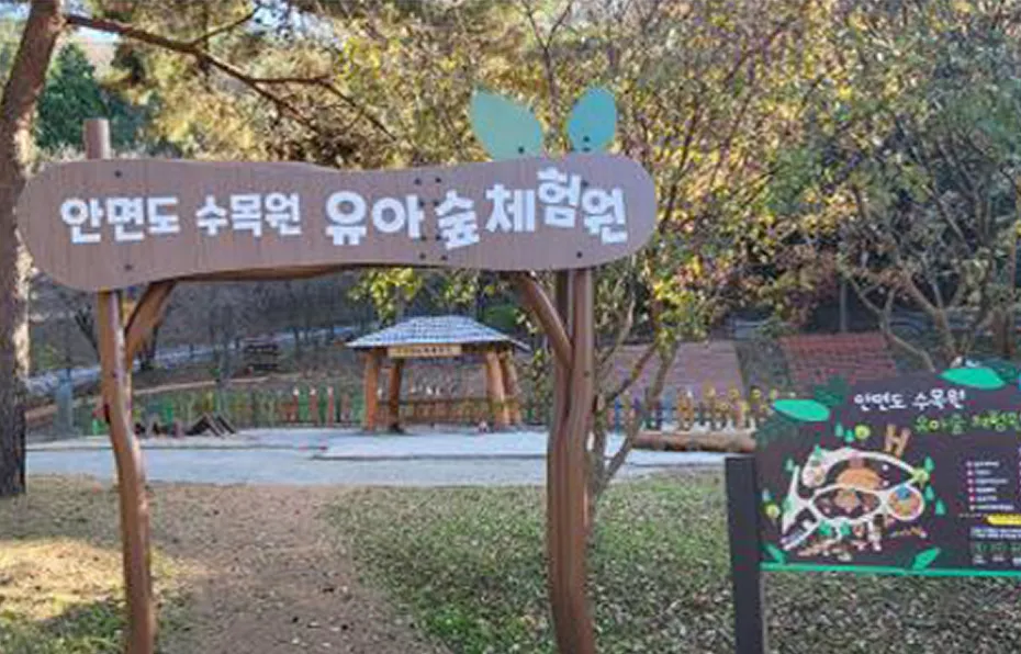 안면도 수목원 유아숲체험원 사진