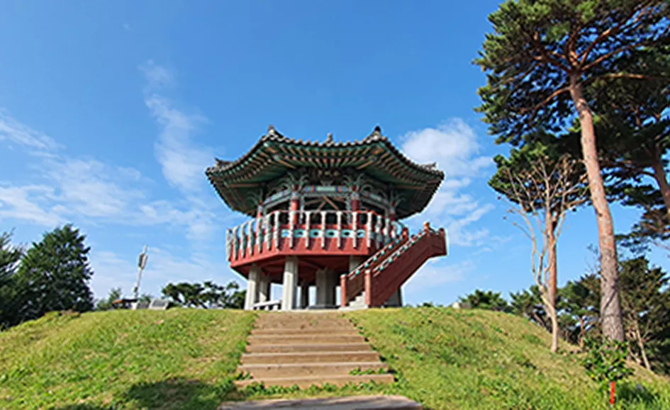안면정 사진