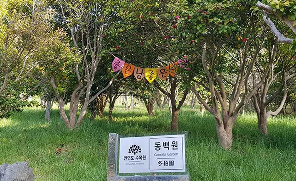 동백원 사진
