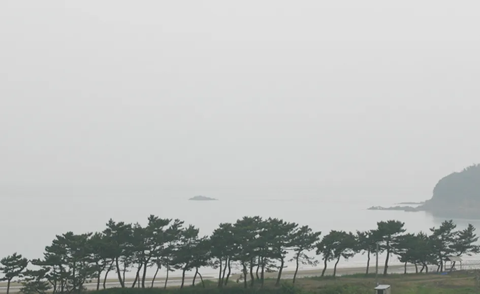 장삼포해수욕장 사진
